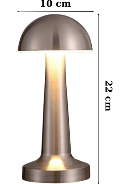 Lizbon 3 Işık Renkli Şarjlı Dim Edilebilir Metal Masa Lambası Silver fiyatları