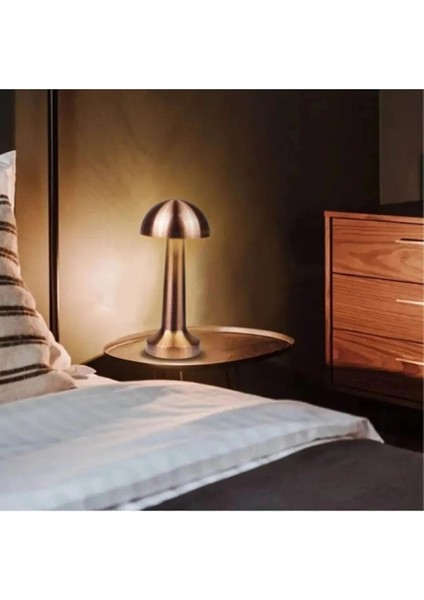 Lizbon 3 Işık Renkli Şarjlı Dim Edilebilir Metal Masa Lambası Silver fırsatları