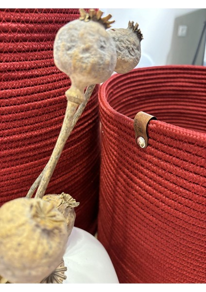 Rover Çok Amaçlı Düzenleyici Sepet, Saksılık, Organizer 3'lü Set modelleri