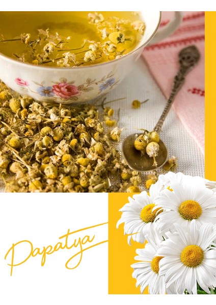 Papatya Çayı(Chamomile Tea) 100 gr. fiyatları