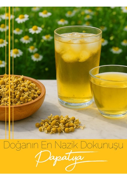Papatya Çayı(Chamomile Tea) 100 gr. fırsatları