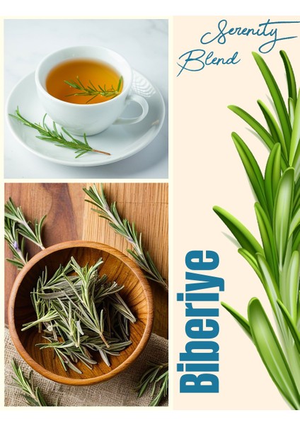 Biberiye Çayı (Rosemary Tea) 100 gr. modelleri