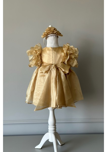 Özel Tasarım Kız Çocuk Elbise, Çiçek ve Inci Detaylı, Kolu Fırfırlı, Taç AKSESUARLI_1025