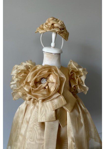 Özel Tasarım Kız Çocuk Elbise, Çiçek ve Inci Detaylı, Kolu Fırfırlı, Taç AKSESUARLI_1025 fiyatları