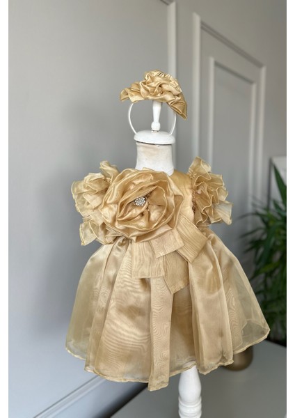 Özel Tasarım Kız Çocuk Elbise, Çiçek ve Inci Detaylı, Kolu Fırfırlı, Taç AKSESUARLI_1025 modelleri