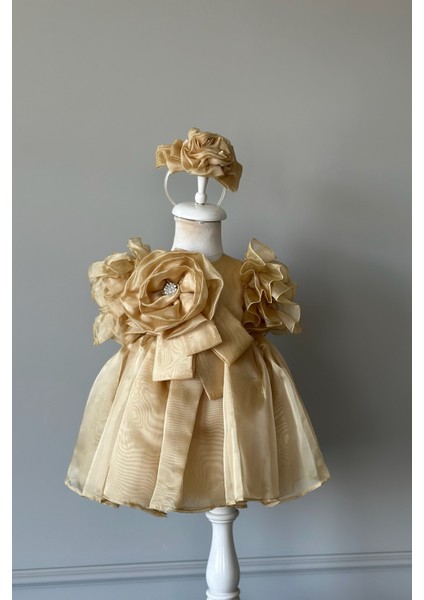 Özel Tasarım Kız Çocuk Elbise, Çiçek ve Inci Detaylı, Kolu Fırfırlı, Taç AKSESUARLI_1025 fırsatları