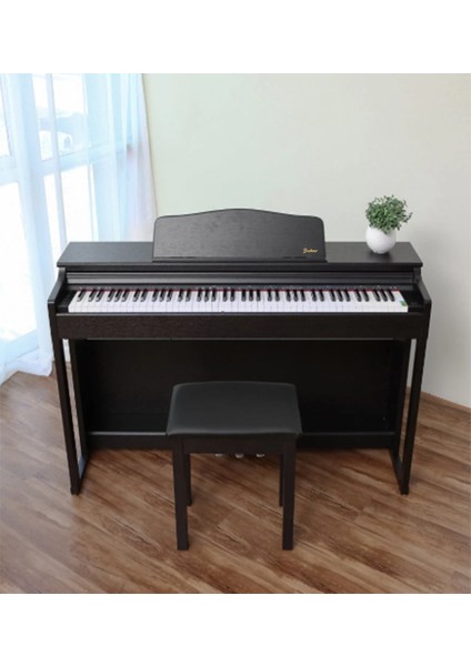 Dijital Piyano Br-19 Br modelleri