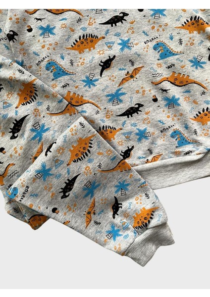 Erkek Çocuk Pamuklu Gri Dinozor Desenli Uzun Kollu Mevsimlik Pijama Takımı fiyatları