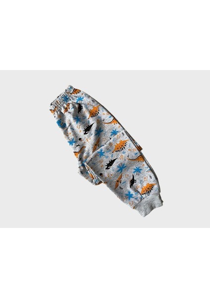 Erkek Çocuk Pamuklu Gri Dinozor Desenli Uzun Kollu Mevsimlik Pijama Takımı fırsatları