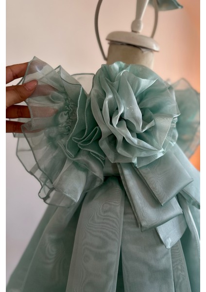 Özel Tasarım Kız Çocuk Elbise, Çiçek ve Inci Detaylı, Kolu Fırfırlı, Taç AKSESUARLI_1025 fırsatları