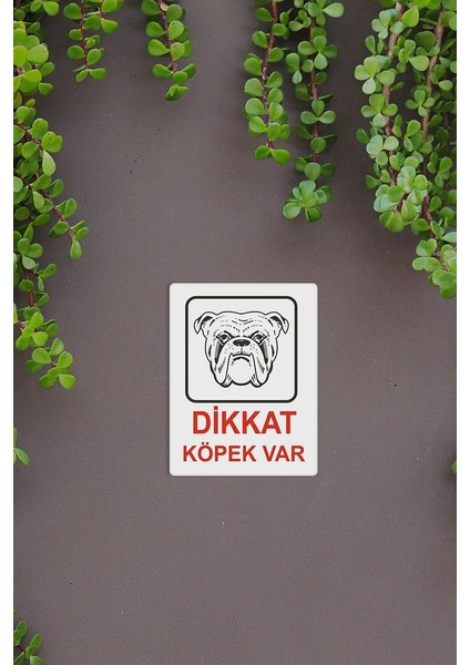 Dikkat Köpek Var 25 x 35