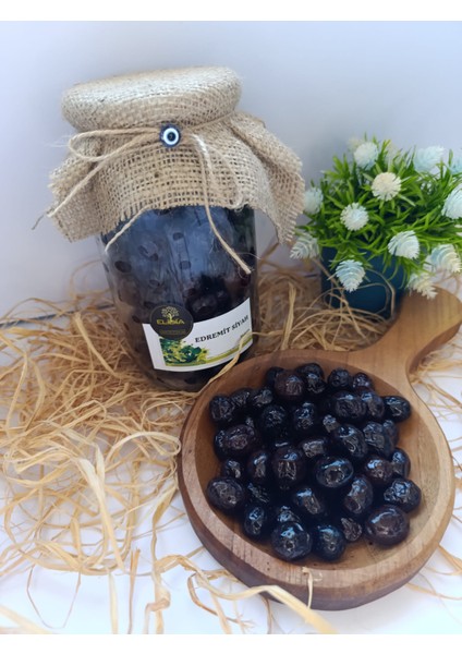 Edremit Siyah Zeytin modelleri