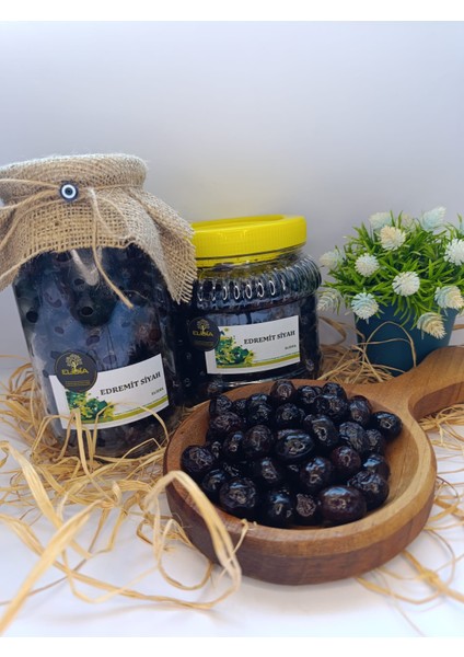 Edremit Siyah Zeytin fırsatları