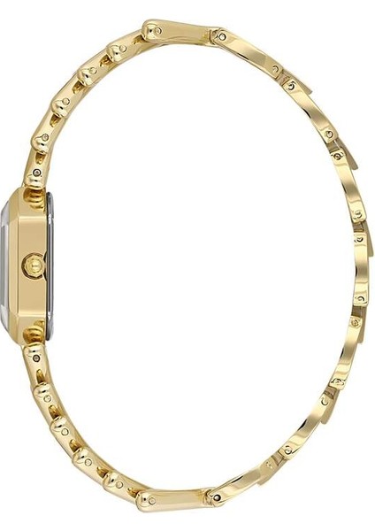 Valentıno Orlandı VO.4.10006-6 Kol Saati fiyatları