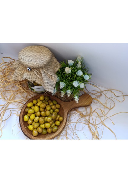 Çerezlik Yeşil Zeytin