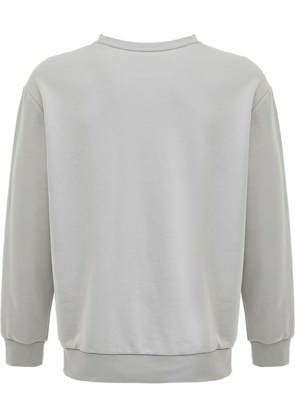 New Id Reg Crew Gri Erkek Sweatshirt fırsatları