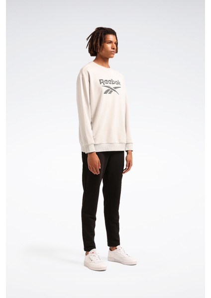 New Id Reg Crew Gri Erkek Sweatshirt