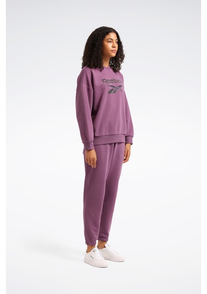 New Id Reg Crew Mor Kadın Sweatshirt fiyatları