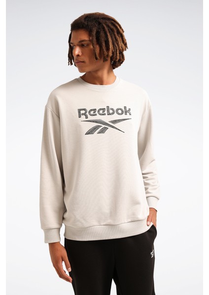 New Id Reg Crew Gri Erkek Sweatshirt