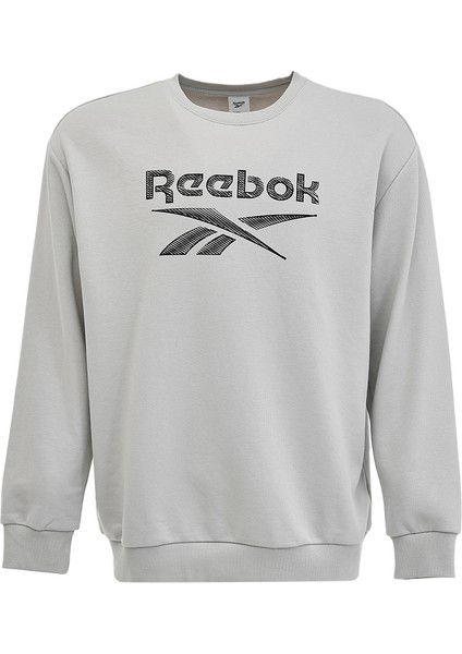 New Id Reg Crew Gri Erkek Sweatshirt modelleri