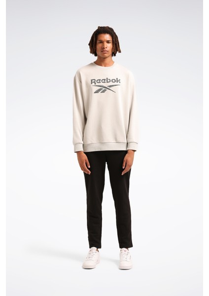 New Id Reg Crew Gri Erkek Sweatshirt