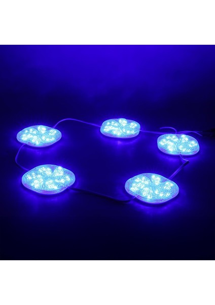 Powermaster 12 Volt 3 Watt Mavi Sabit 6565-2835 Modül LED fiyatları