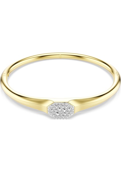 5724597 Swarovski Bilezik Dextera:bangle Tag Cre/gos M