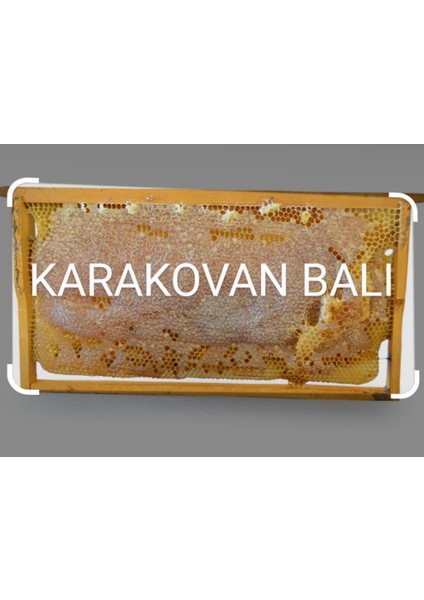 Getirköyden01 Sır Balı