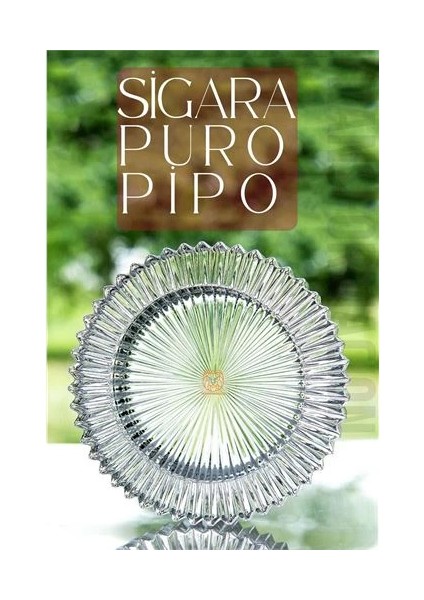 Bfs Groot Cam Küllük Pipo Puro Küllüğü