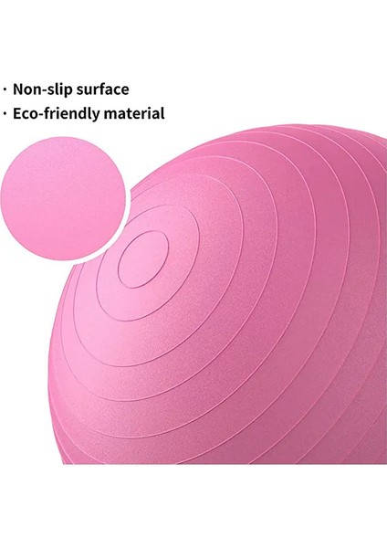 65 cm Lüx Pilates Topu ve Çift Yönlü Pompa Seti Kaliteli Malzeme Yoga Egzersiz Topu fiyatları