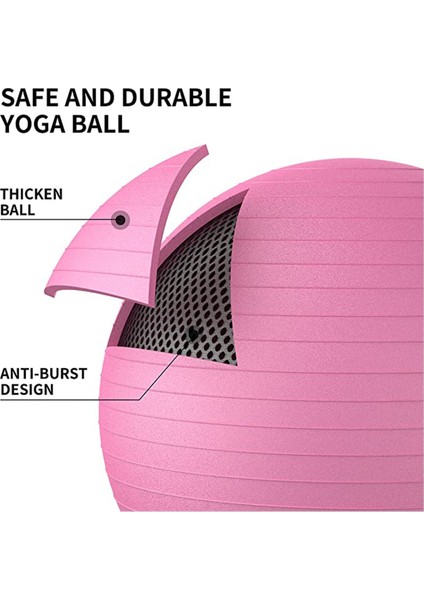 65 cm Lüx Pilates Topu ve Çift Yönlü Pompa Seti Kaliteli Malzeme Yoga Egzersiz Topu modelleri