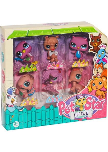 Bfs KZL-3046A4 Pet Star 6'lı Miniş Seti -Kızılkaya Oyuncak