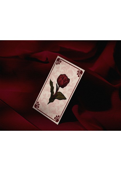 Aşkı Memnu Soru-Cevap Kart Oyunu – 220 Soru, 110 Kart | Dizi Severler İçin Eğlenceli Hediye