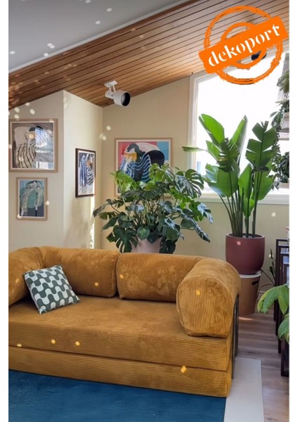 Relax Kanepe Yatak Olabilen Açılır Aktivite Koltuğu Özel Bondex Sünger 50 Dns