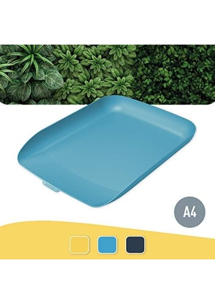 Cosy Evrak Rafı, , Mavi fiyatları