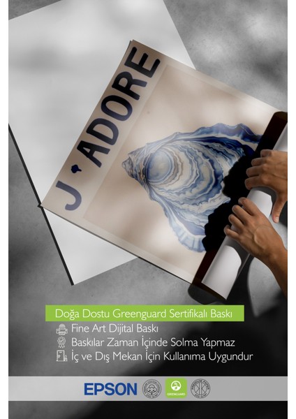 Ahşap Çerçeveli Tablo, Mavi Midye Illüstrasyonu – Sahil Esintisi, Banyo Dekoru Poster No: 109764