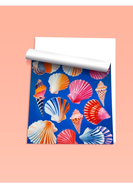 Çerçevesiz Poster, Deniz Kabukları Yaz Kompozisyonu, Banyo Dekoru Poster No: 109761 fiyatları