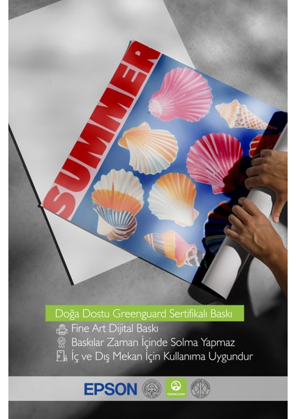 Çerçevesiz Poster, Deniz Kabukları Yaz Kompozisyonu, Banyo Dekoru Poster No: 109761