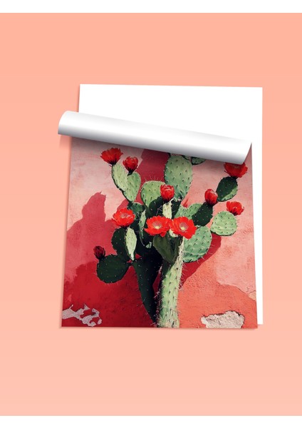 Çerçevesiz Poster, Kırmızı Çiçekli Kaktüs Illüstrasyonu, Salon Dekoru Poster No: 110907 fiyatları
