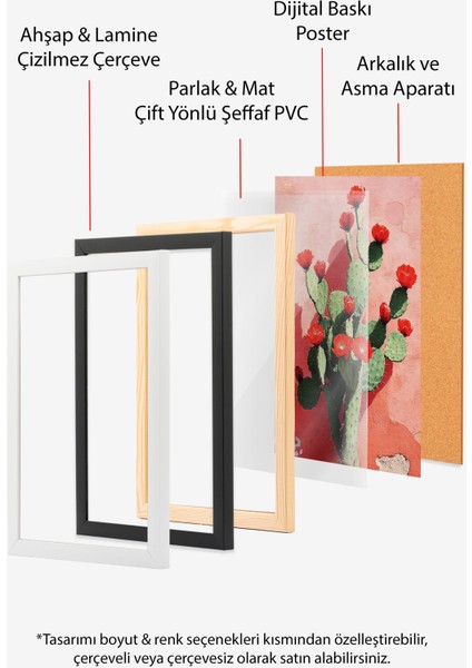 Çerçevesiz Poster, Kırmızı Çiçekli Kaktüs Illüstrasyonu, Salon Dekoru Poster No: 110907 indirimleri