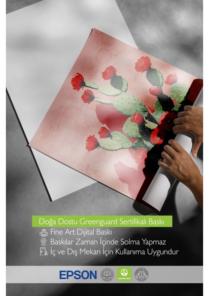 Çerçevesiz Poster, Kırmızı Çiçekli Kaktüs Illüstrasyonu, Salon Dekoru Poster No: 110907