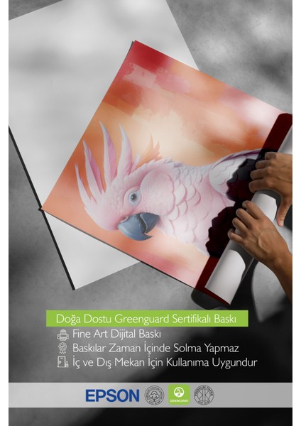 Çerçevesiz Poster, Pembe Kakadu – Tropikal Kuş Portresi, Yatak Odası Dekoru Poster No: 109970