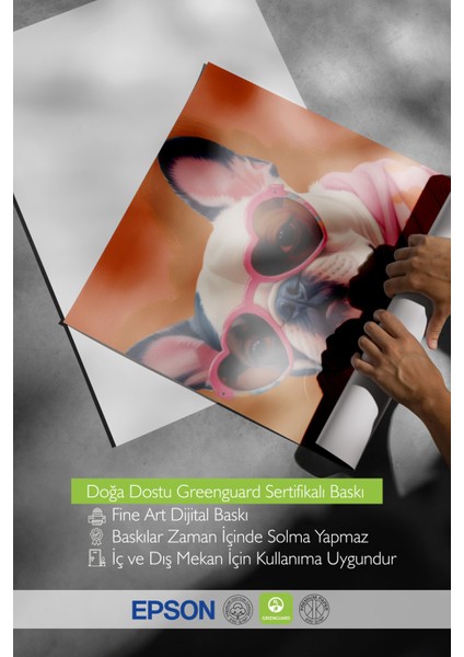 Beyaz Çerçeveli Tablo, Şirin Gözlüklü Köpek – Komik Çizim, Genç Odası Dekoru Poster No: 109723 indirimleri