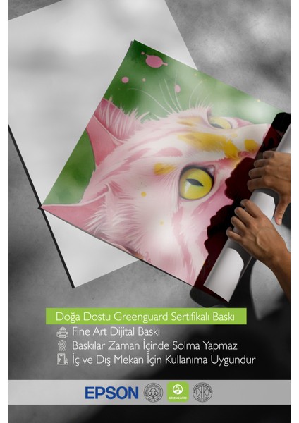 Beyaz Çerçeveli Tablo, Renkli Kedi – Stilize Illüstrasyonu, Genç Odası Dekoru Poster No: 109731 indirimleri