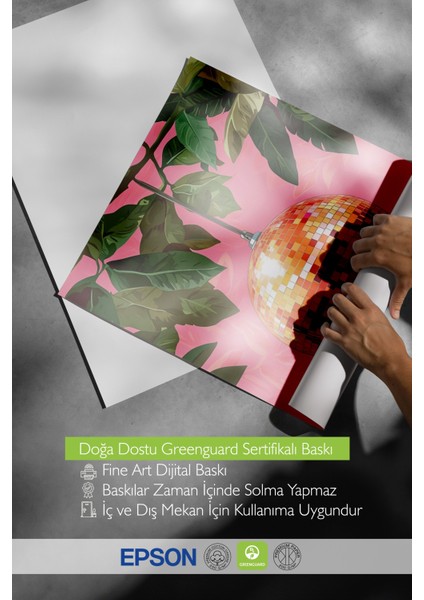 Çerçevesiz Poster, Pembe Tropikal Meyve ve Yaprak Kompozisyonu, Mutfak Dekoru Poster No: 110220