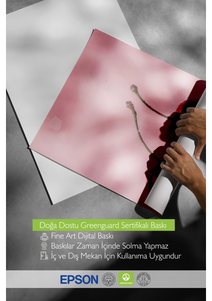 Çerçevesiz Poster, Kırmızı Kiraz Minimal Illüstrasyonu, Mutfak Dekoru Poster No: 110025