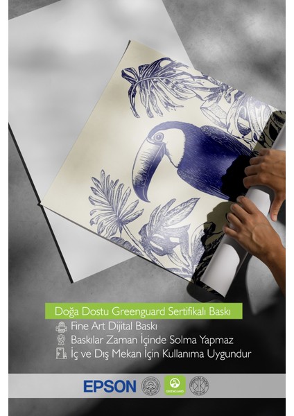 Çerçevesiz Poster, Mavi Beyaz Tropikal Kuş Çizimi, Salon Dekoru Poster No: 110769