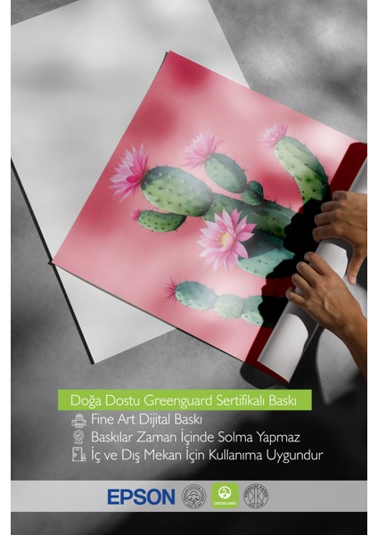 Çerçevesiz Poster, Pembe Kaktüs Minimal Illüstrasyon, Salon Dekoru Poster No: 109781