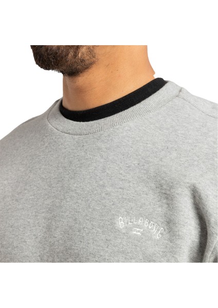 Arch Cr Erkek Gri Sweatshirt indirimleri