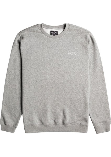 Arch Cr Erkek Gri Sweatshirt